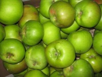 green apples
